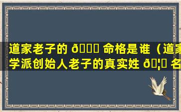 道家老子的 🍀 命格是谁（道家学派创始人老子的真实姓 🦊 名是）